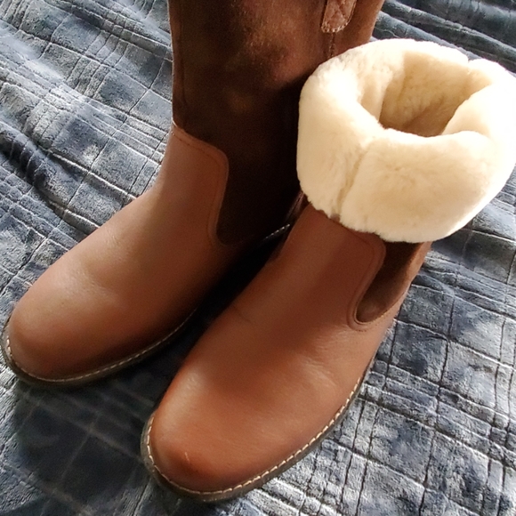 Abeo - Picture 2 of 8